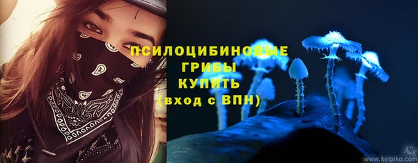 apvp Алексеевка
