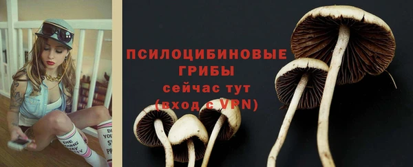 гидропоника Абдулино