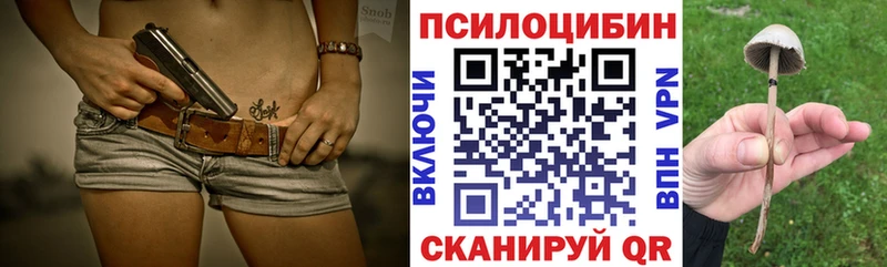 Псилоцибиновые грибы прущие грибы  мега зеркало  Пошехонье 